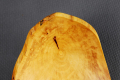 M166g_Miska_z_orzecha.JPG